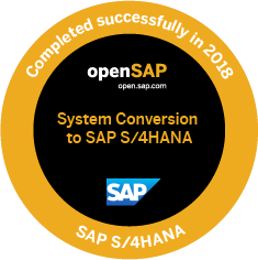 Record of achievement SAP S4HANA Conversion