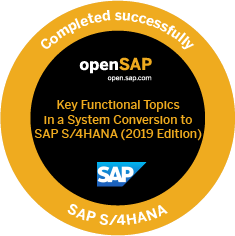 Record of achievement Key Functional Topics in a System Conversion to SAP S/4HANA