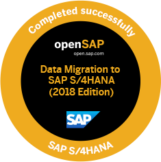 Record of achievement SAP S/4HANA Migration