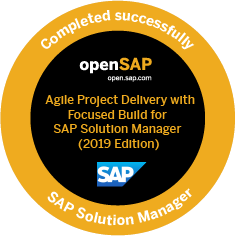 Record of achievement agile project delivery with Focused Build for SAP Solution Manager